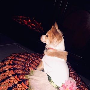 Meet your Posher, Sonali